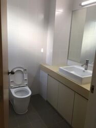 King's Road (D10), Terrace #470258761